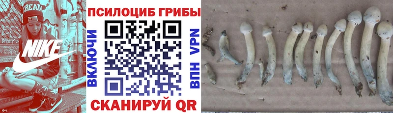Псилоцибиновые грибы мицелий  закладки  Удачный 